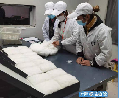 【收购进行时】沙雅富力棉业轧花厂加大工作力度 实现提质增效