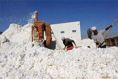 储备棉去库存取得重大实效 棉花市场运行平稳