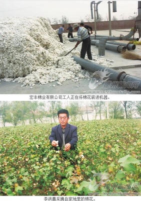 矛盾纠结 棉花行业到底怎么了?(图) - 棉花市场 - 资讯中心 - 中国服装网